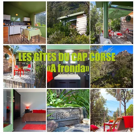 Les Du Cap Corse Apartment *