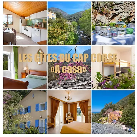 Les Du Cap Corse