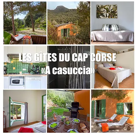 Les Du Cap Corse Nonza