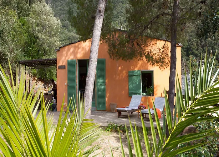 Les Du Cap Corse * ノンザ