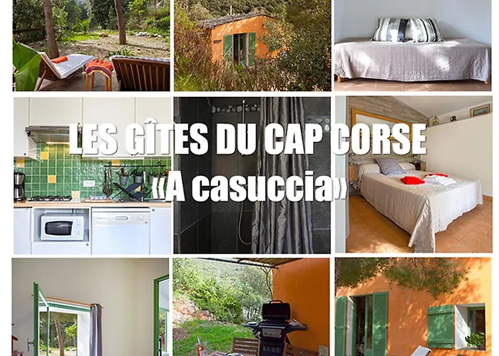 Les Du Cap Corse ノンザ